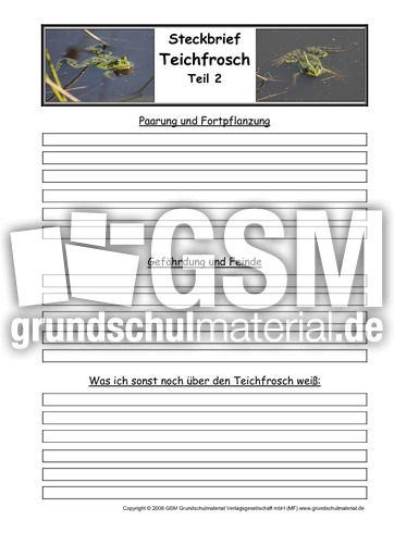Steckbriefvorlage-Teichfrosch-Seite-2.pdf